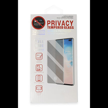 Newface Samsung Galaxy S21 Hayalet Edge Cam Ekran Koruyucu