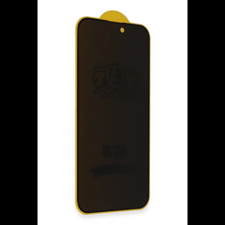 Joy Tekno Samsung Galaxy S24 Plus Bilvis 3D Hayalet Cam Ekran Koruyucu