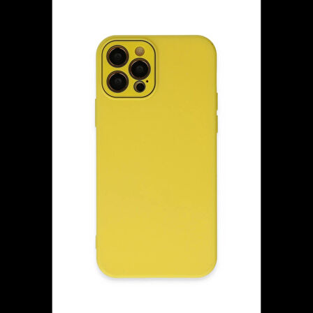 Newface iPhone 12 Pro Kılıf Lansman Glass Kapak