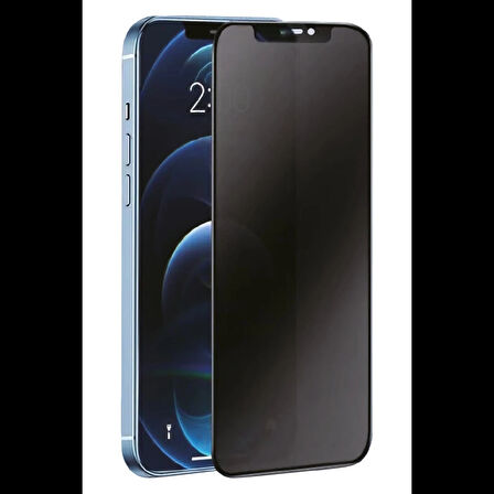 Newface iPhone 16 3D Antistatik Hayalet Cam Ekran Koruyucu