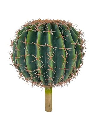 Yapay Çiçek Echinocactus Grusonii Altın Fıçı Kaktüs  25*25cm Cactüs  sk4010