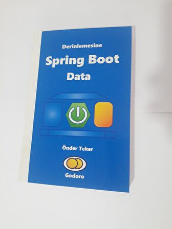 Derinlemesine Spring Boot Data