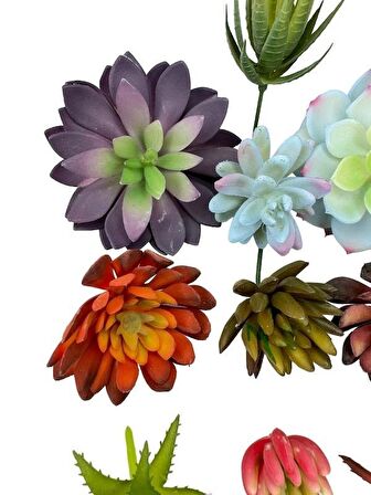 10lu Set Yapay Çiçek Kaktüs Sukulent Modelleri 10 Karışık Model Skulent