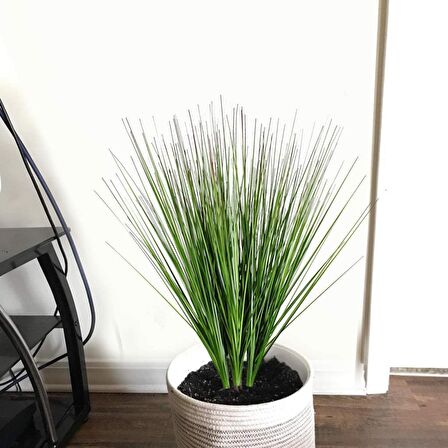 Yapay Çiçek Saz 60 cm Plants Grass  3Adet Dekoratif Çiçek 