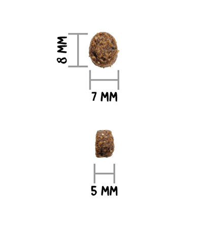 Ownat 3 kg Sterilised Somonlu Kedi Maması