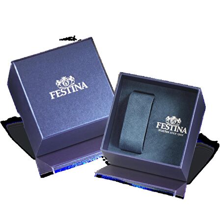 FESTINA F16820/R ERKEK KOL SAATİ