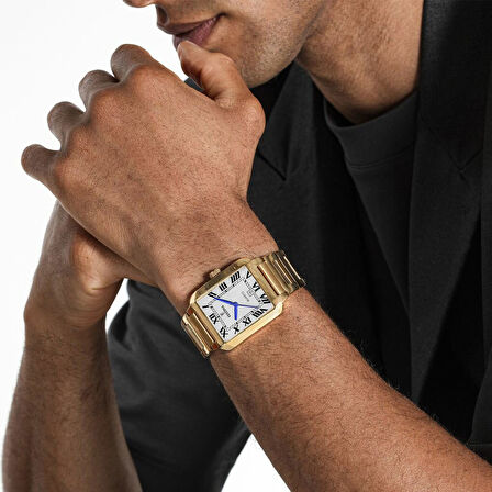 Festina F20678-1
