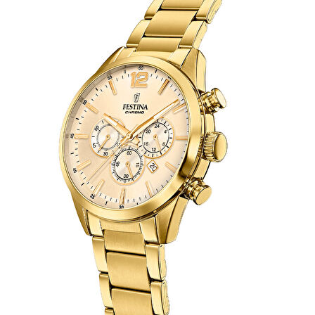 FESTINA F20633/4 TIMELESS CHRONOGRAPH ERKEK KOL SAATİ