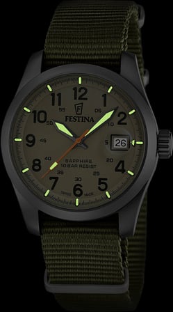 Festina F20082-1