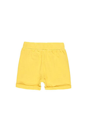 Erkek Çocuk Köpek Balığı Baskılı Şort Sarı