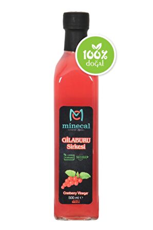 %100 Ev Yapımı Katkısız Gilaburu Sirkesi 500ml