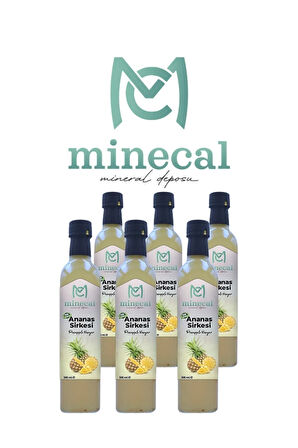 Ananas Sirkesi 6x500 ml – %100 Katkısız Doğal | Şekersiz | Koruyucu Içermez