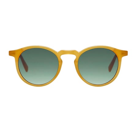 Gigi Studios Roy GS2005 55 Unisex Güneş Gözlüğü