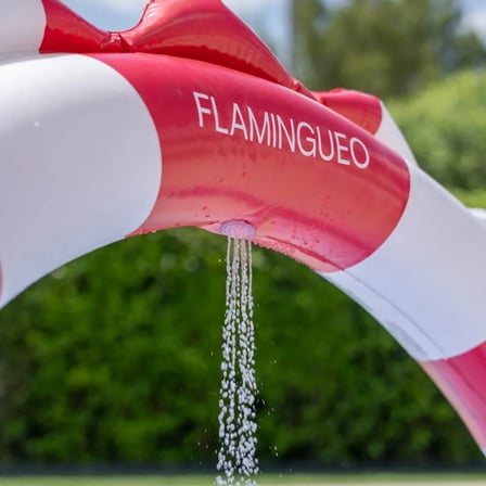 Flamingueo Kaydıraklı Fıskiyeli Şişme Oyun Havuzu Ness