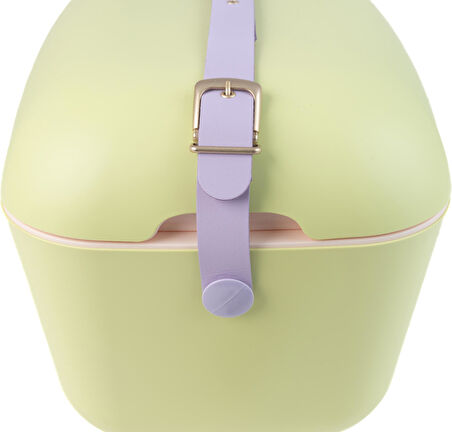 Polarbox 9385 Lime - Rosa Soğuk ve Sıcak Termos Çanta 12L