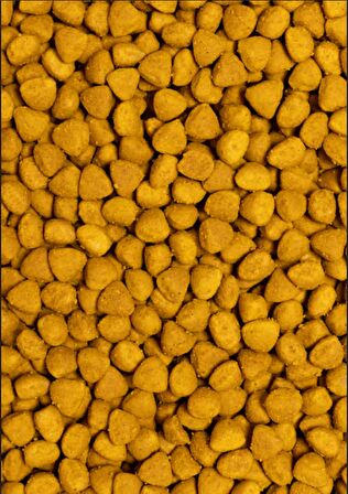 PSİTTACUS YÜKSEK ENERJİ ÜRETİMİ 12 Kg
