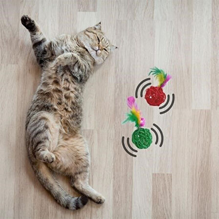 caselka® 2li Rattan Renkli Peluş Tüy Kedi Köpek Oyuncak Yakalama Çiğneme Çıngıraklı Top Oyuncağı