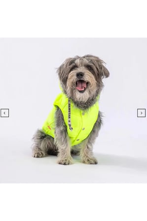 Stupid Yeşil nakışlı şirin köpek kıyafeti