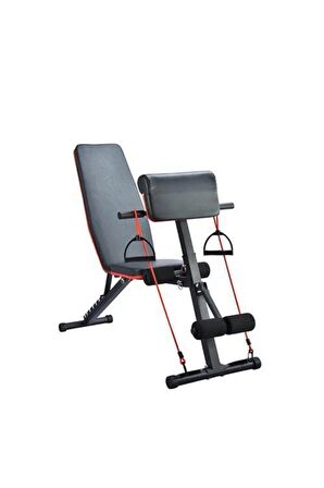 Multiposition & Biceps Combo Bench Sehpa