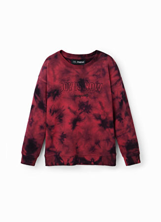 Desigual Çok Renkli Erkek Çocuk Bisiklet Yaka Uzun Kollu Desenli Sweatshirt 22WBSK11