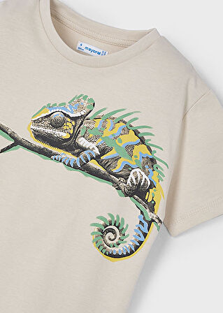 Mayoral Erkek Çocuk Baskılı Tişört 3045