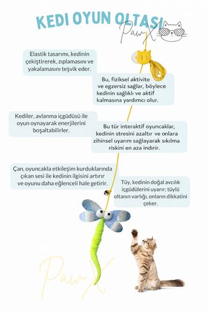 Elastik Yapışkanlı Yusufçuk Kedi Oltası Oyuncağı + Avokado Catnip Oyun Seti Doğal Fileli Kedi Çimi