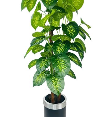 Yapay Çiçek Difenbahya Sarı Yeşil 3Katlı 160cm 54Yaprak Gümüş Kemerli Siyah Saksıda Yapay Bitki