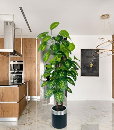 Yapay Çiçek Difenbahya Sarı Yeşil 3Katlı 160cm 54Yaprak Gümüş Kemerli Siyah Saksıda Yapay Bitki
