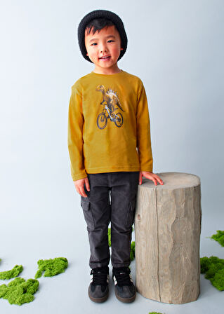 Mayoral Sarı Erkek Çocuk Baskılı Uzun Kollu Tişört 4087