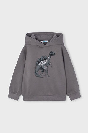 Erkek Çocuk Dinozor Baskılı Kapüşonlu Sweatshirt - Gri | 7 Yaş