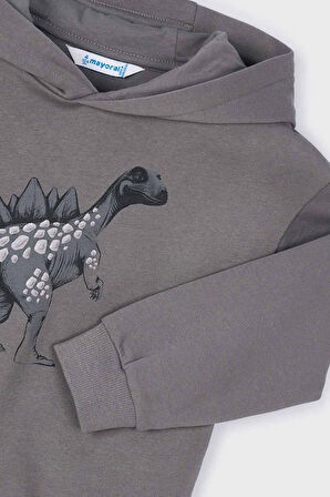 Erkek Çocuk Dinozor Baskılı Kapüşonlu Sweatshirt - Gri | 8 Yaş