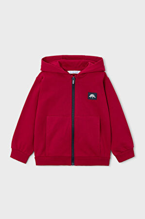 Erkek Çocuk Normal Kalıp Dinozor Temalı 3'lü Eşofman Takımı - Kırmızı | 4 Yaş