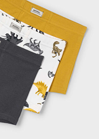 Mayoral Erkek Çocuk Üçlü Boxer Set