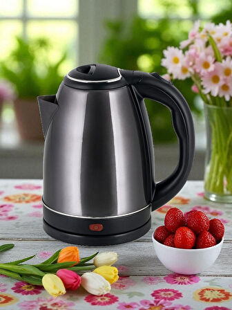 Girist Burgaz Gümüş Renk Çlik Kettle 1800 W