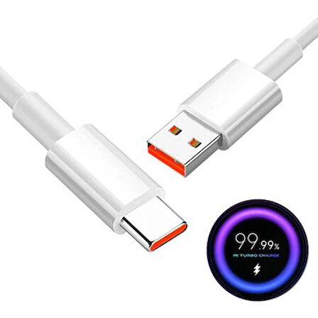 Powerway 6 Amper M6 67W-120W Type to Usb Şarj ve Data Kablosu