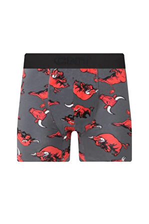 Erkek 6 Adet Pamuklu Likralı Özel Kutusunda Premium Kaliteli Boxer