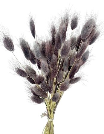 Kuru Çiçek Doğal GRİ LİLA Pamuk Otu 10gram 1. Kalite Şoklanmış Bozulmaz