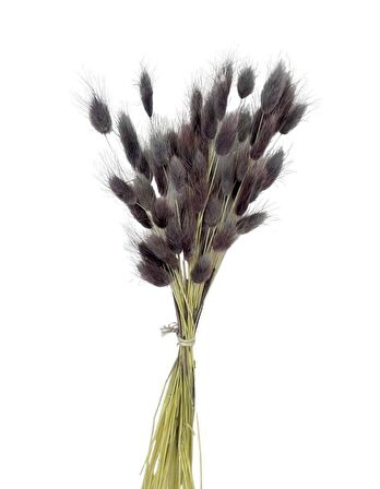 Kuru Çiçek Doğal GRİ LİLA Pamuk Otu 10gram 1. Kalite Şoklanmış Bozulmaz