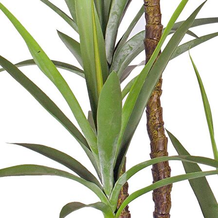 Yapay Ağaç Dracaena Ağacı 4Gövdeli 180 cm Premium Kalite
