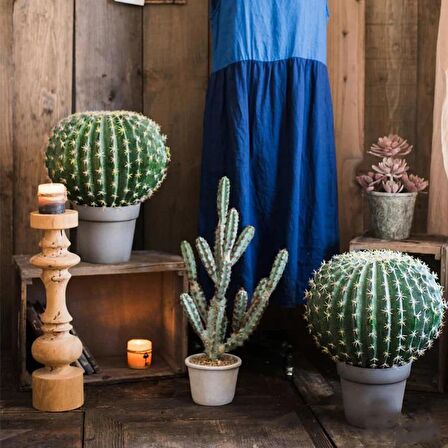 Yapay Çiçek Echinocactus Grusonii Altın Fıçı Kaktüs Siyah Saksıda 50*35cm Cactüs  sk4011s