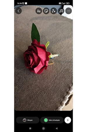 Kirmizi gül Damat yaka çiçeği