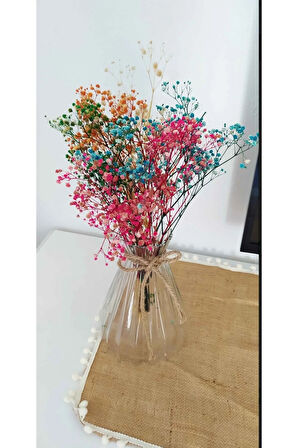 Şoklanmış cipso 1.kalite  Renk Cümbüşü 45 gr.