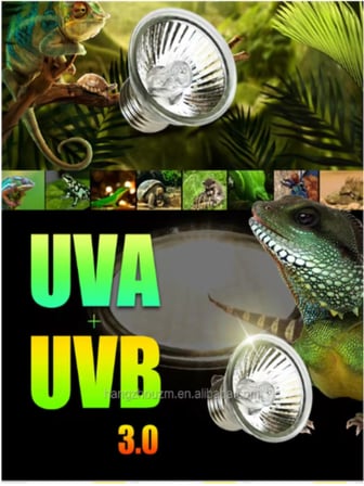Mandallı Akrobat Lamba Tutacağı 25 W Uva/Uvb Lamba Dahil (Kırmızı)