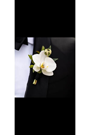 Damat Yaka çiçeği ,sağdıç cicegi