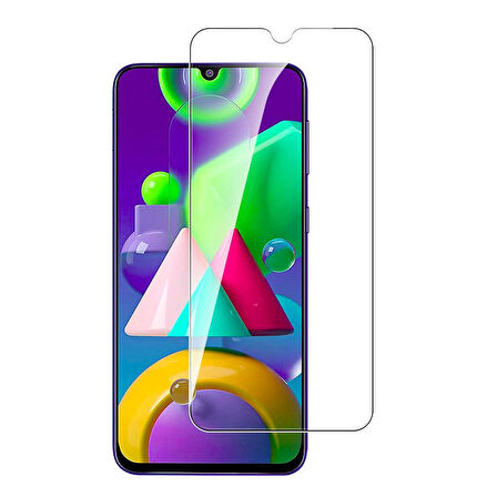 Samsung Galaxy M30/M30s/M31/M31s/M21/M21s/M01/M10 Temperli Kırılmaz Cam Ekran Koruyucu