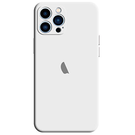 Apple iPhone 12 Pro Max Kamera Korumalı Silikon İçi Kadife Lansman Kılıf
