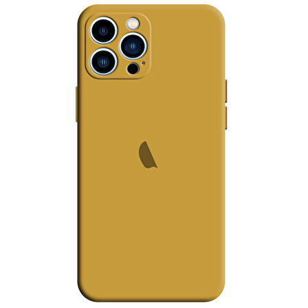 Apple iPhone 12 Pro Max Kamera Korumalı Silikon İçi Kadife Lansman Kılıf