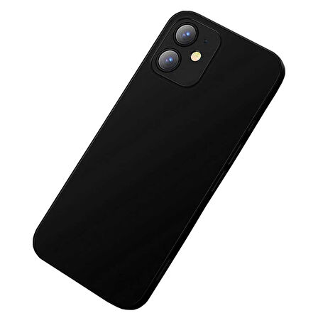 Apple iPhone 11 Uyumlu 360 Derece Tam Kaplayan Cam Kapak Kılıf