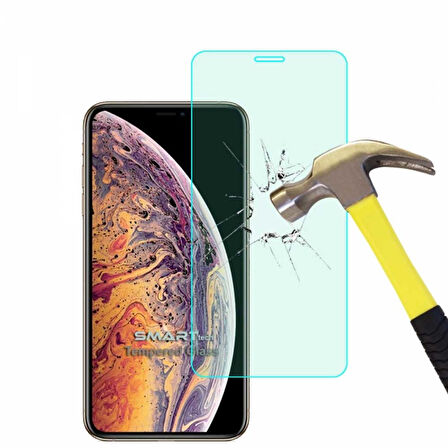 Apple iPhone 11 Pro Max / XS Max Temperli Kırılmaz Cam Ekran Koruyucu 3 lü Set