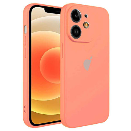 Apple iPhone 12 Uyumlu Kamera Korumalı Silikon İçi Kadife Lansman Kılıf